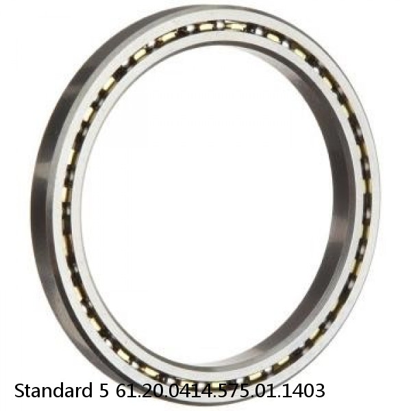 61.20.0414.575.01.1403 Standard 5 Slewing Ring Bearings #1 small image