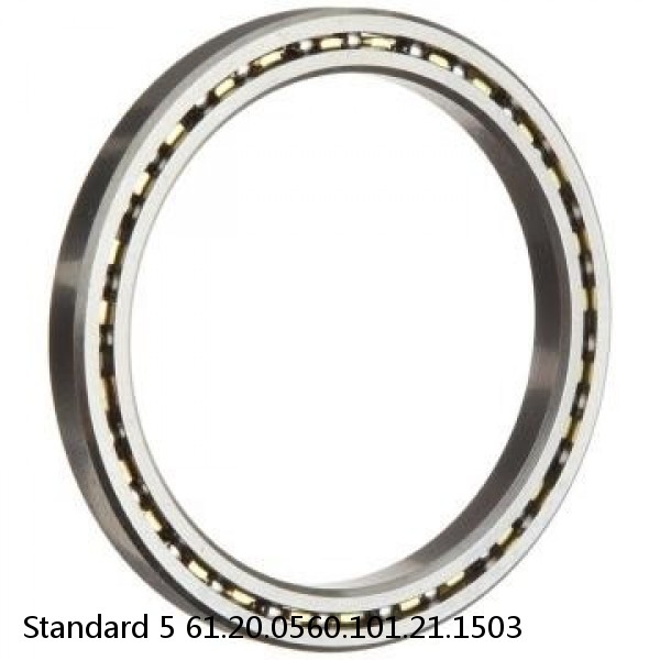 61.20.0560.101.21.1503 Standard 5 Slewing Ring Bearings #1 small image