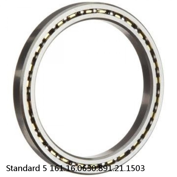 161.16.0630.891.21.1503 Standard 5 Slewing Ring Bearings #1 small image