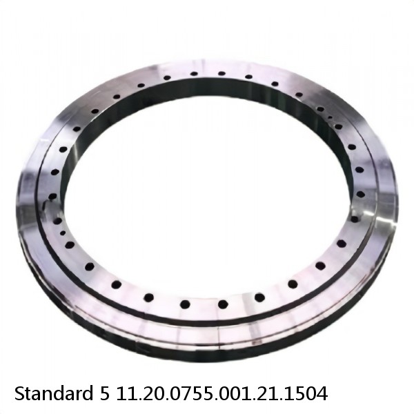 11.20.0755.001.21.1504 Standard 5 Slewing Ring Bearings #1 small image