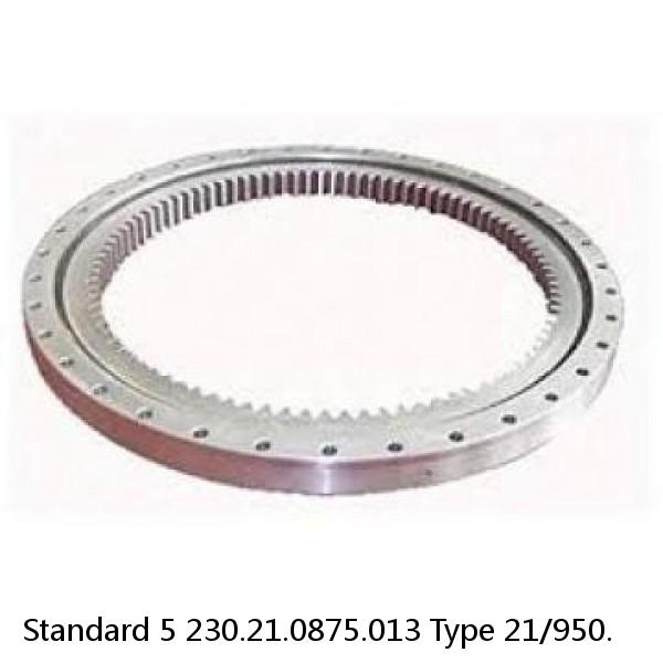 230.21.0875.013 Type 21/950. Standard 5 Slewing Ring Bearings #1 small image