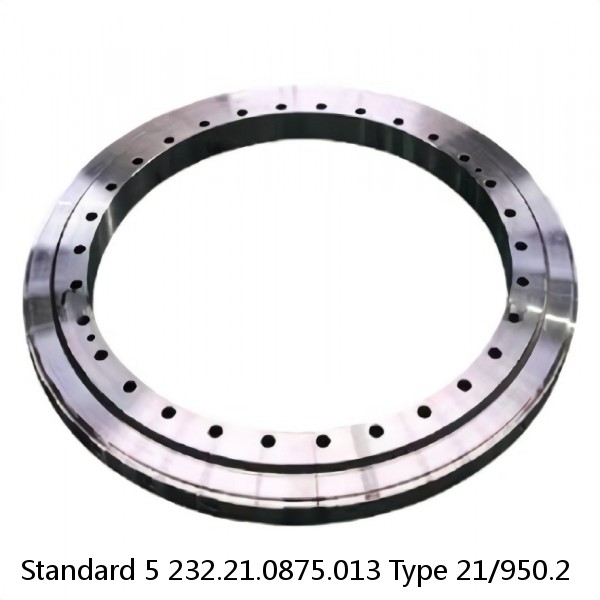 232.21.0875.013 Type 21/950.2 Standard 5 Slewing Ring Bearings #1 small image