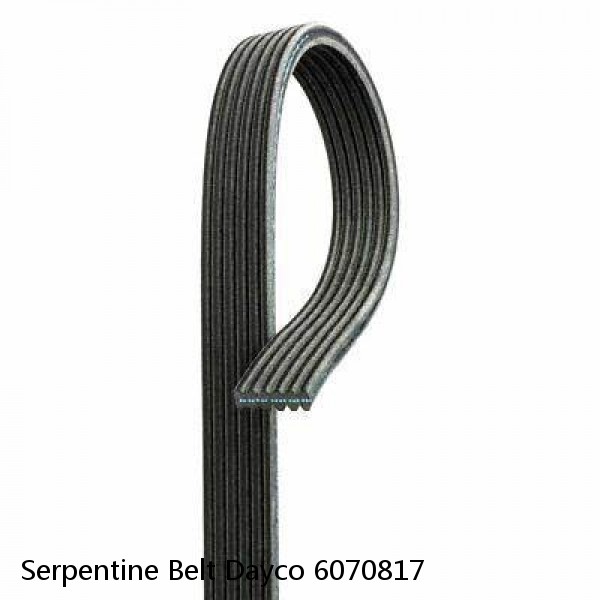 Serpentine Belt Dayco 6070817 #1 small image