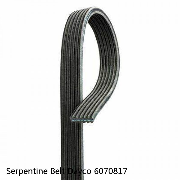 Serpentine Belt Dayco 6070817