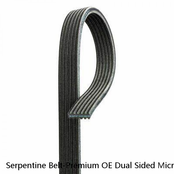 Serpentine Belt-Premium OE Dual Sided Micro-V Belt fits 14-19 Corvette 6.2L-V8 #1 small image