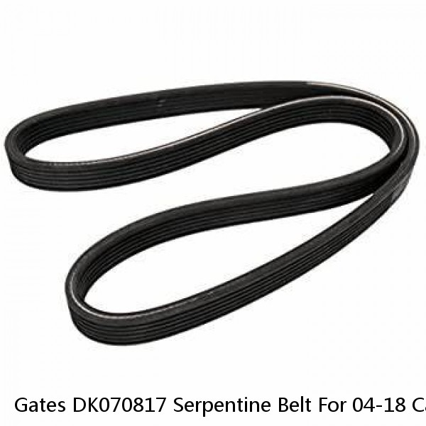 Gates DK070817 Serpentine Belt For 04-18 Cayenne Q7 Touareg