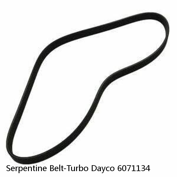 Serpentine Belt-Turbo Dayco 6071134 #1 small image