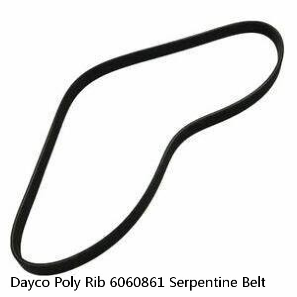 Dayco Poly Rib 6060861 Serpentine Belt #1 small image