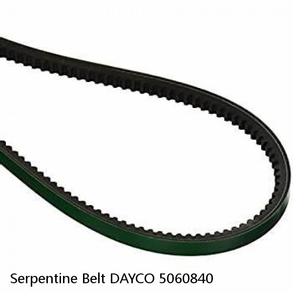 Serpentine Belt DAYCO 5060840 #1 small image