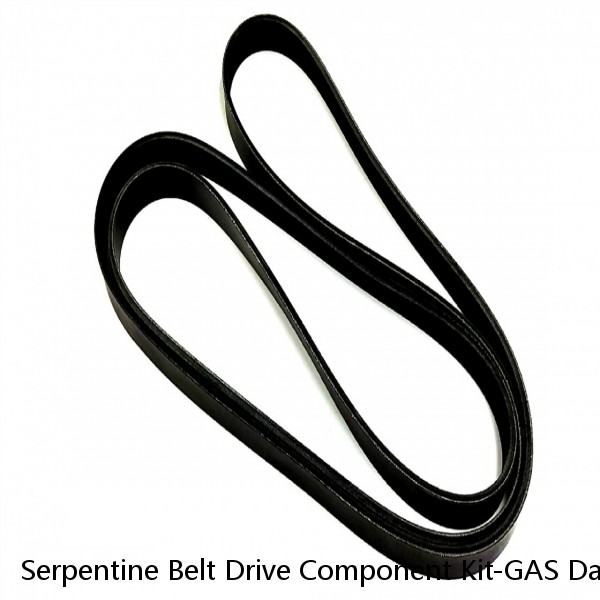 Serpentine Belt Drive Component Kit-GAS Dayco D60923K1 #1 small image