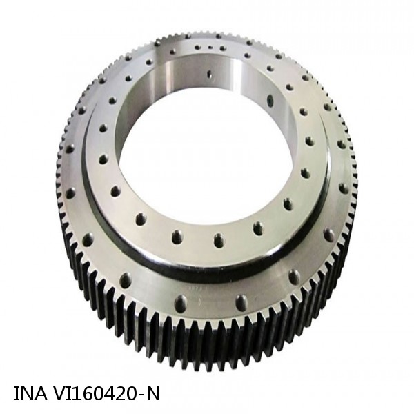 VI160420-N INA Slewing Ring Bearings #1 image