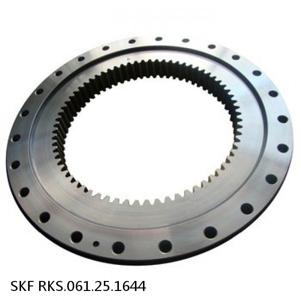 RKS.061.25.1644 SKF Slewing Ring Bearings #1 image