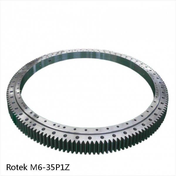 M6-35P1Z Rotek Slewing Ring Bearings #1 image