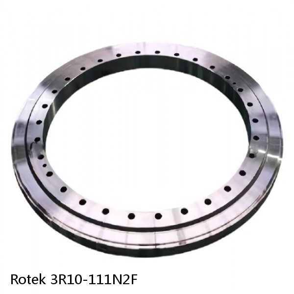 3R10-111N2F Rotek Slewing Ring Bearings #1 image