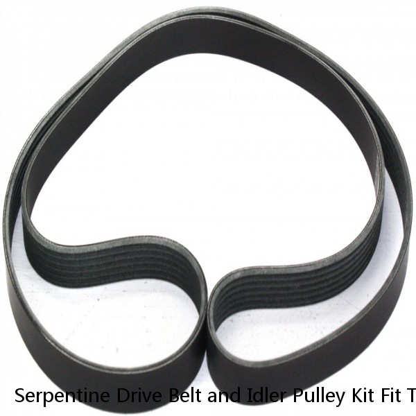 Serpentine Drive Belt and Idler Pulley Kit Fit Toyota Sienna 06-10 V6 3.5L 2GRFE #1 image